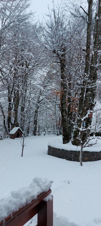 Vikendica Crkvina Villa โคลาชิน ภายนอก รูปภาพ